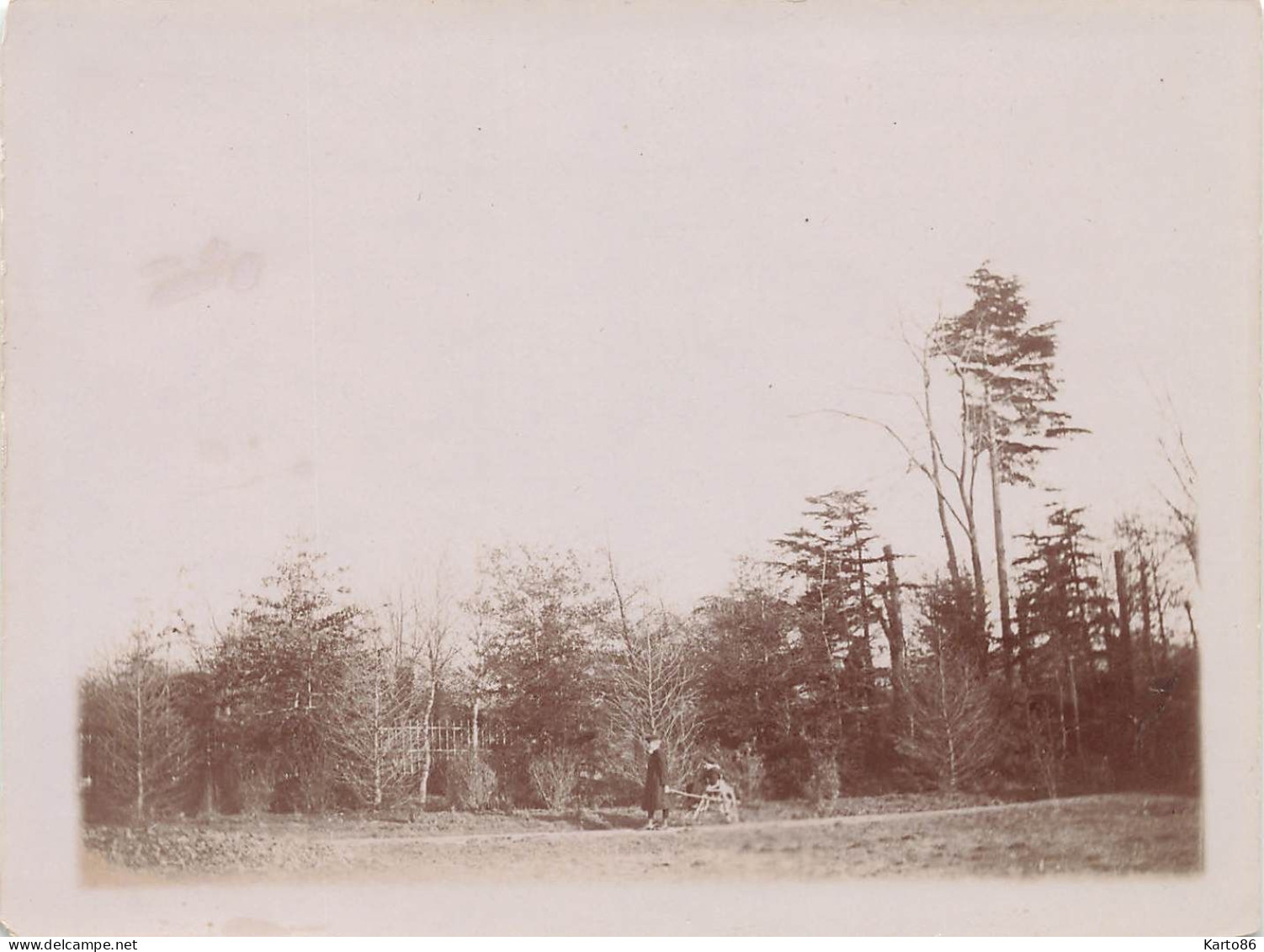 Le Portereau Des Landes , St Sébastien Sur Loire * 11 Photos Anciennes Albuminées Circa Vers 1900 Format 12x9cm - Saint-Sébastien-sur-Loire