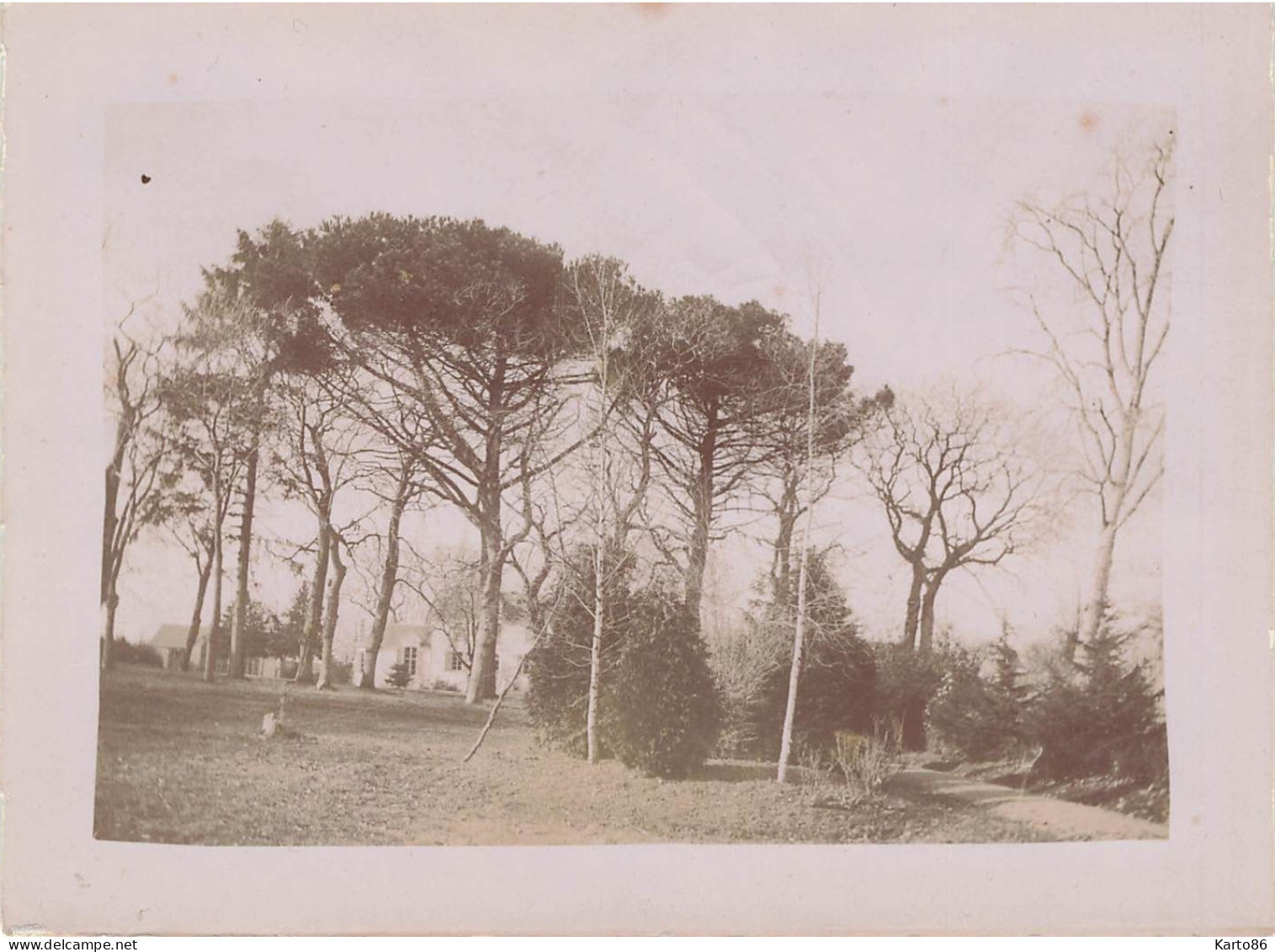 le portereau des landes , st sébastien sur loire * 11 photos anciennes albuminées circa vers 1900 format 12x9cm