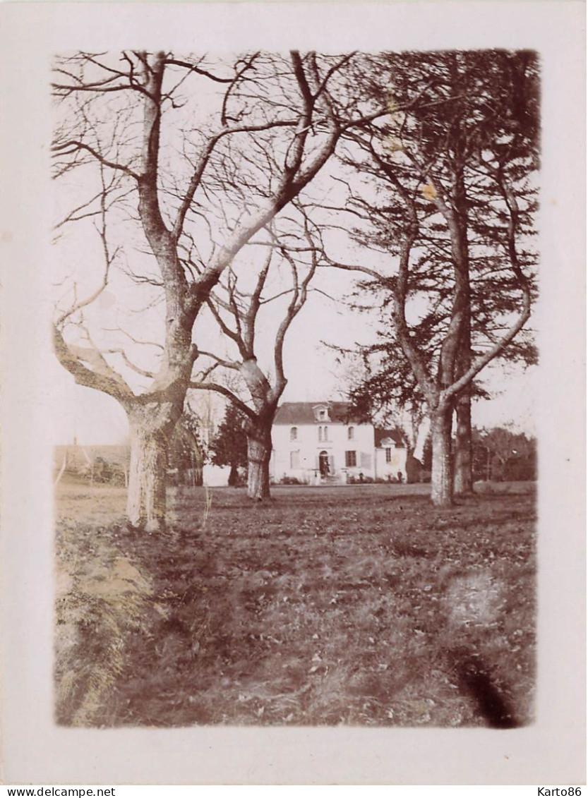 le portereau des landes , st sébastien sur loire * 11 photos anciennes albuminées circa vers 1900 format 12x9cm