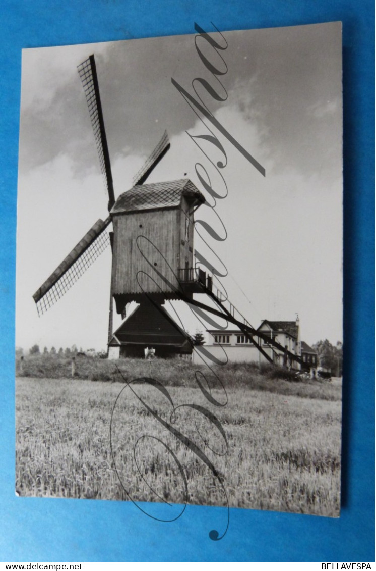 Leut Windmolen Nieuw Leven Moulin A Vent - As