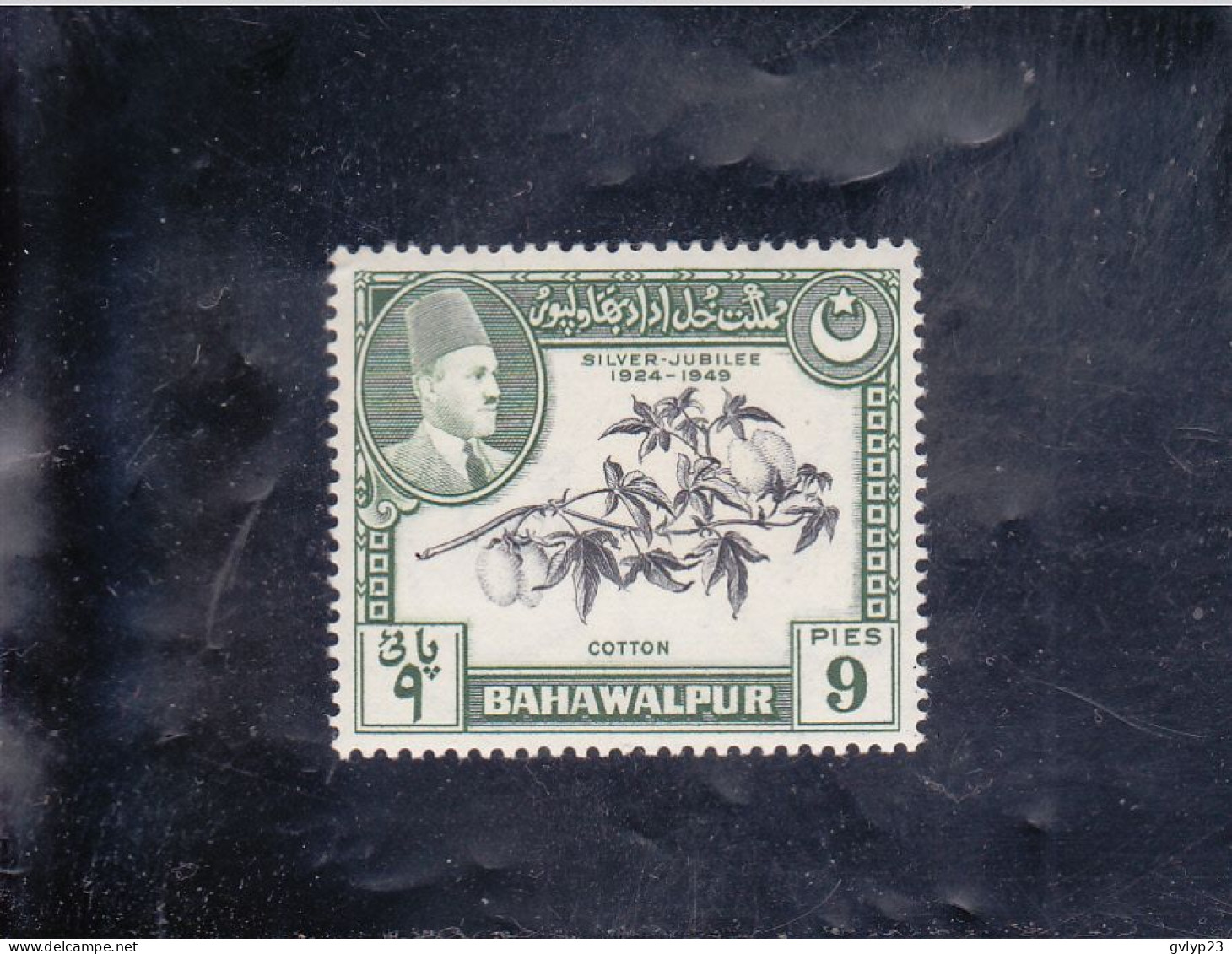 25°ANNIVERSAIRE DU RèGNE DU SOUVERAIN  COTON NEUF ** N°20 YVERT ET TELLIER 1949 - Bahawalpur