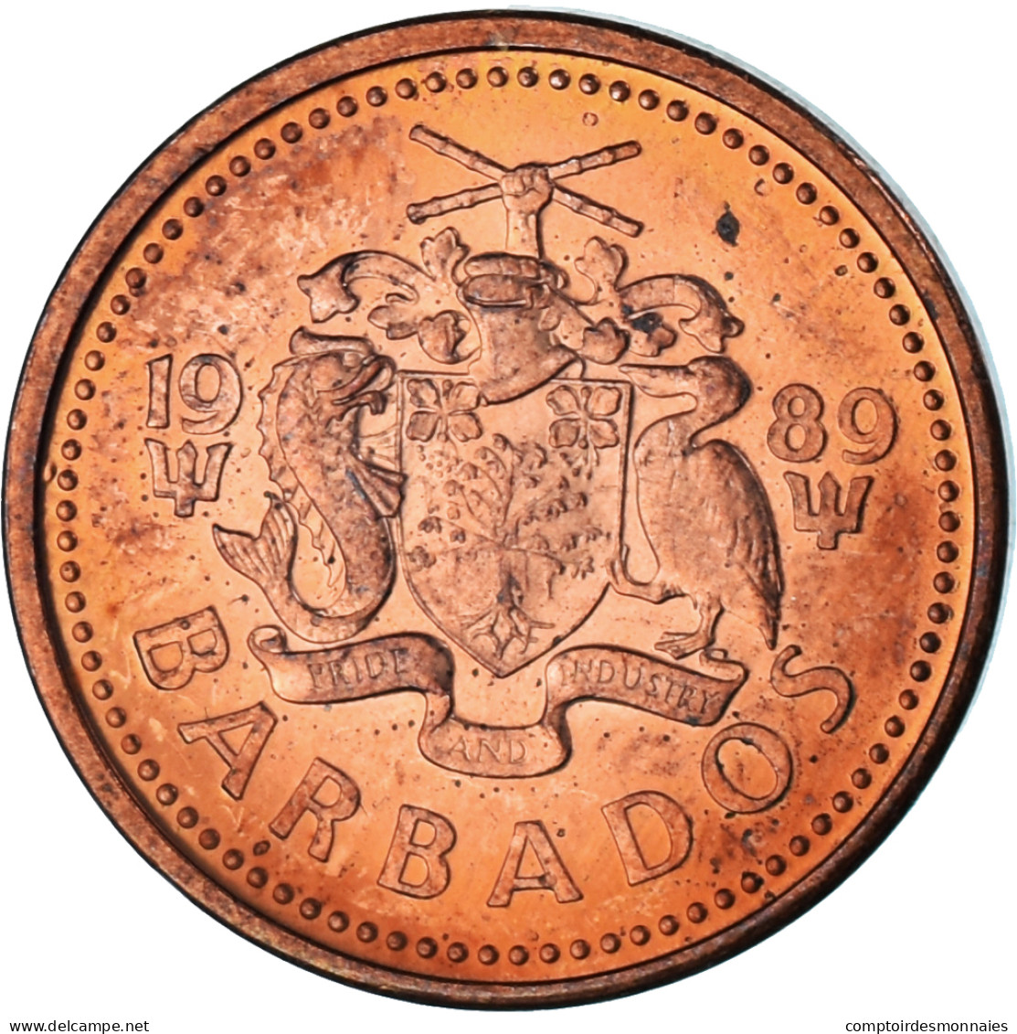 Monnaie, Barbade, Cent, 1989 - Barbados (Barbuda)