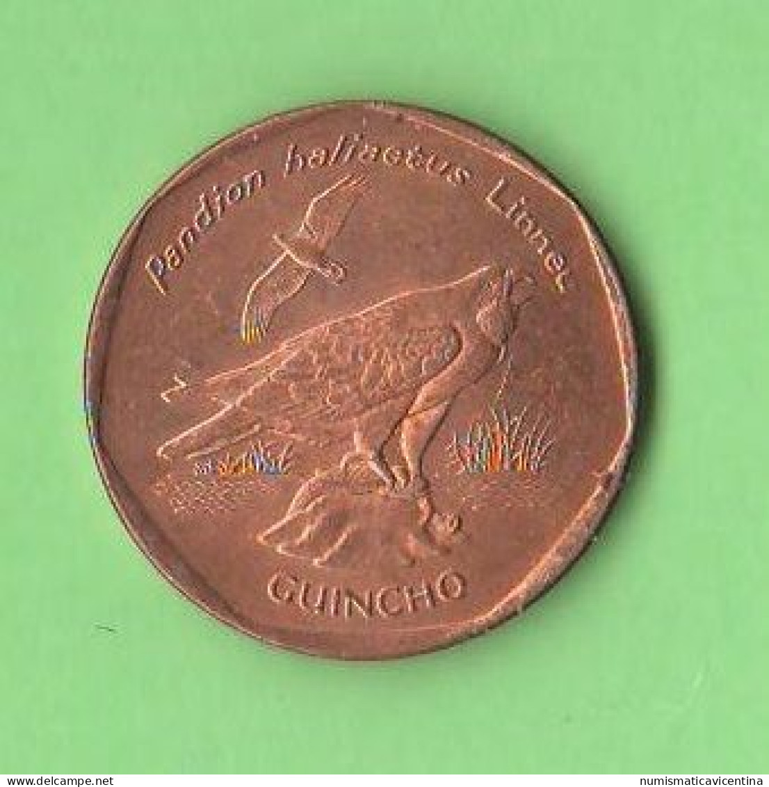 Capo Verde 5 Escudos 1994 Guincho Oiseau Cape Verde Copper+ Steel Coin - Cap Vert