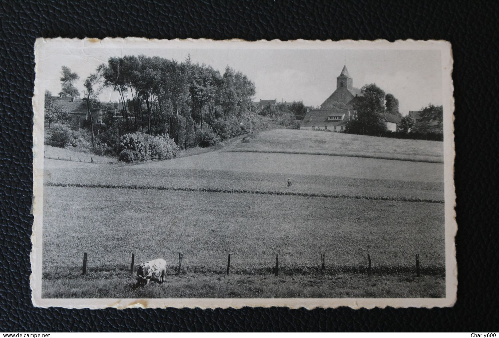 Kwaremont - Zicht Op Het Dorp - Kluisbergen