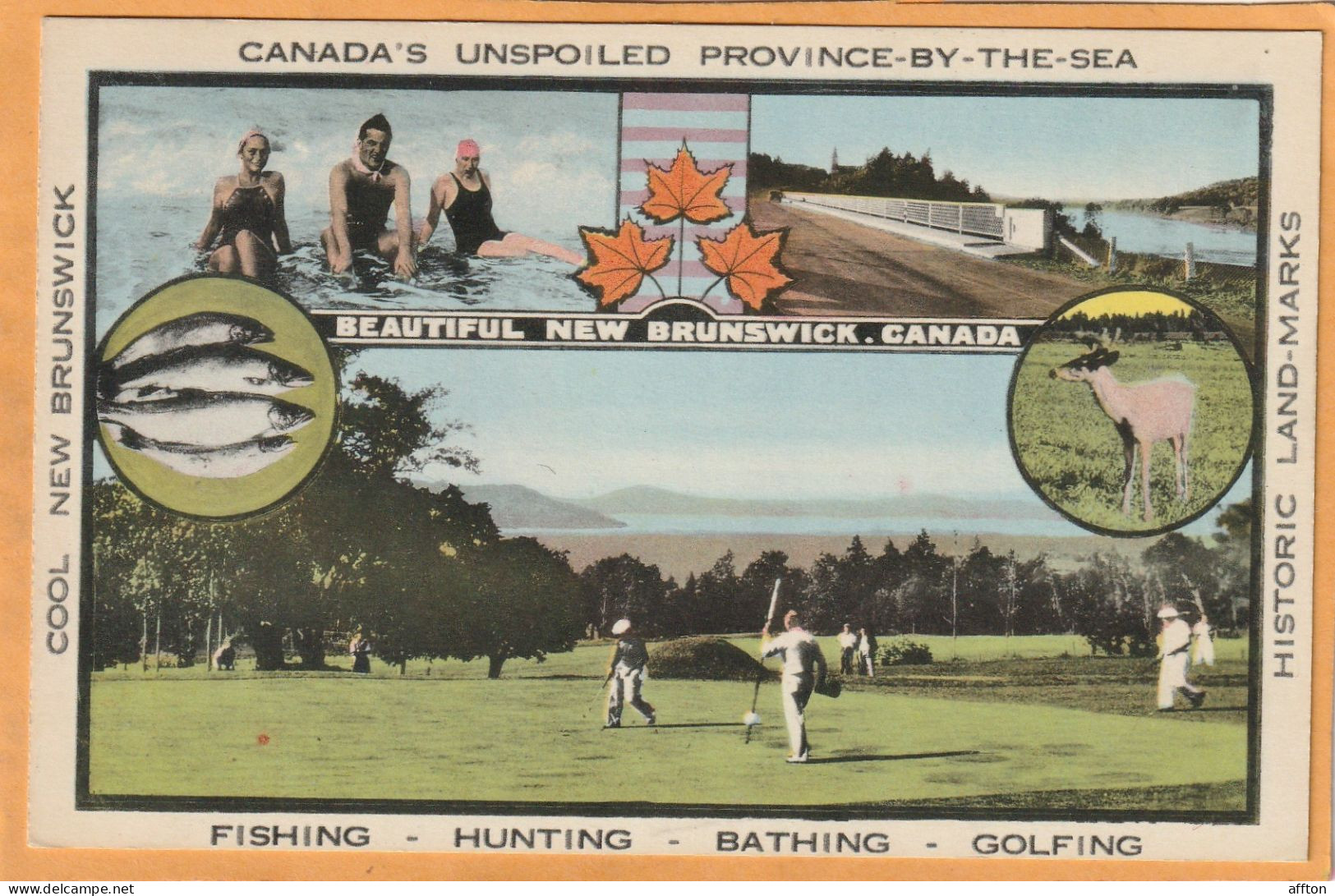 Fredericton New Brunswick Canada Old Postcard - Fredericton