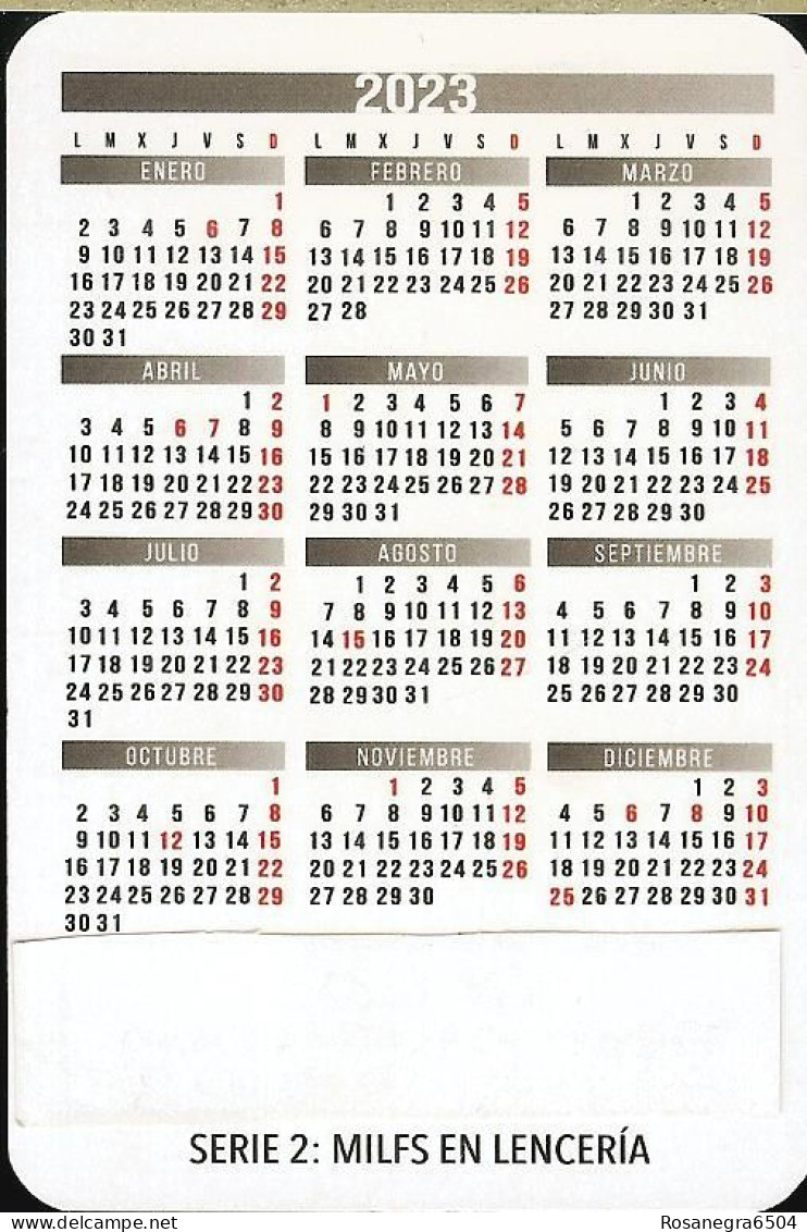 9 SPAIN POCKET CALENDARS - YEAR 2023 - SEXY GIRLS - Petit Format : 2001-...