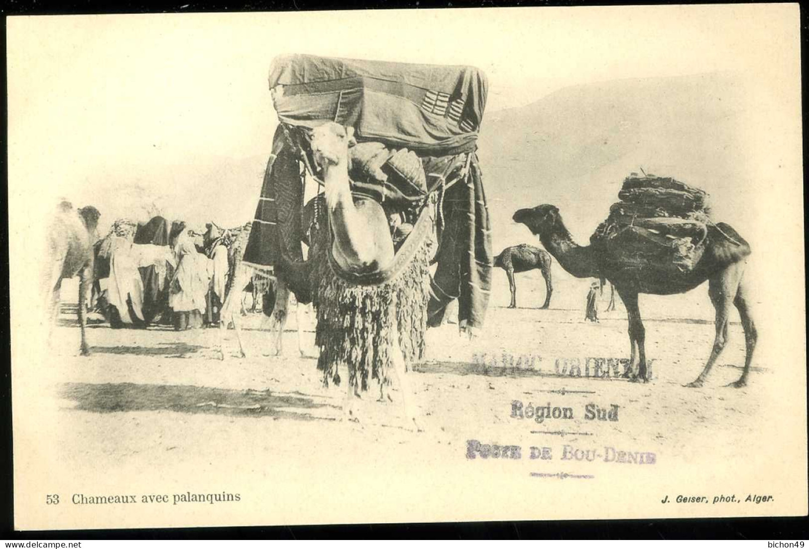 Chameaux Avec Palanquins Geiser Maroc Oriental Région Sud Poste De Bou Denib - Scènes & Types