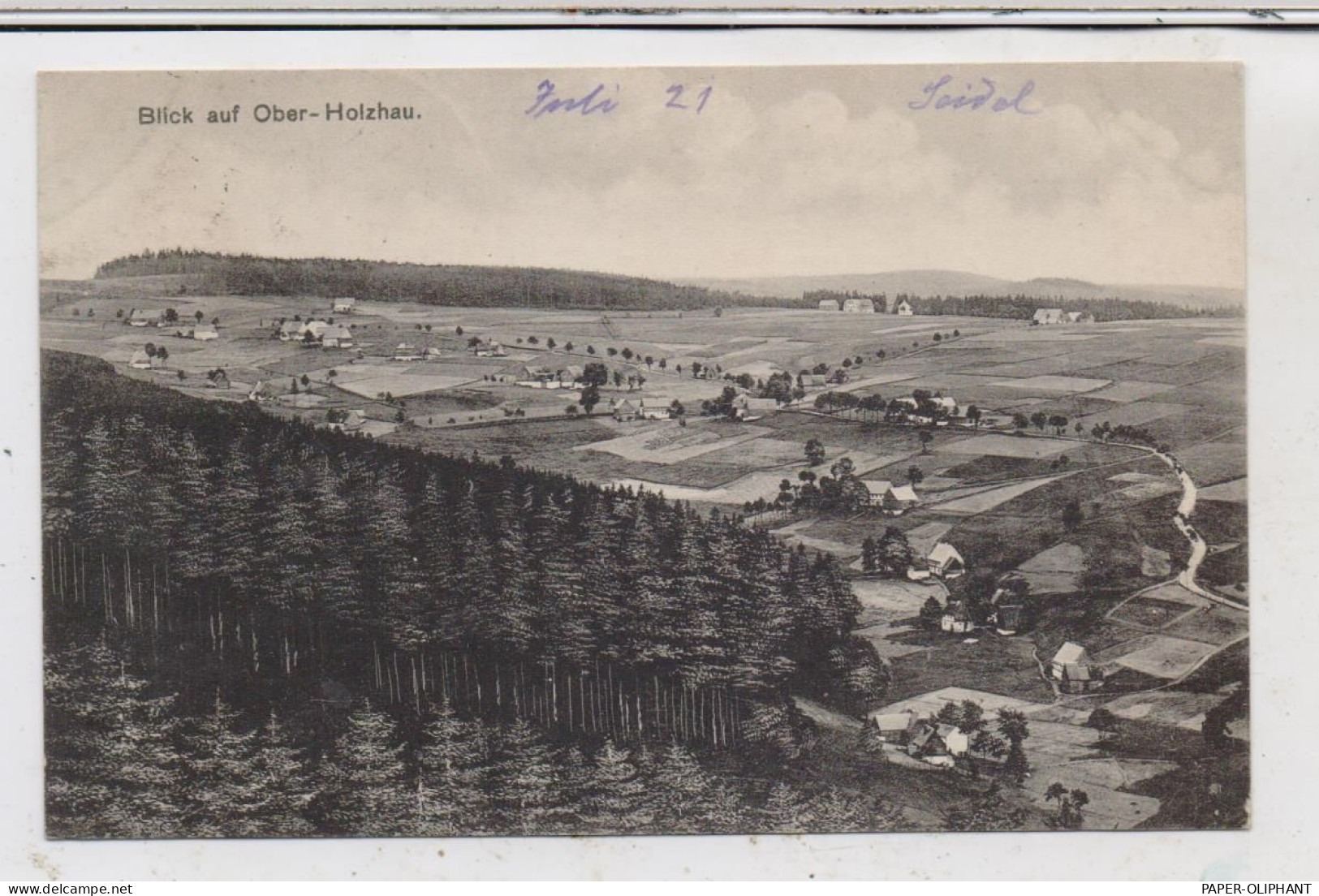 0-9213 RECHENBERG - BIENENMÜHLE - OBER-HOLZHAU, Blick Auf Das Dorf, 1921 - Rechenberg-Bienenmühle