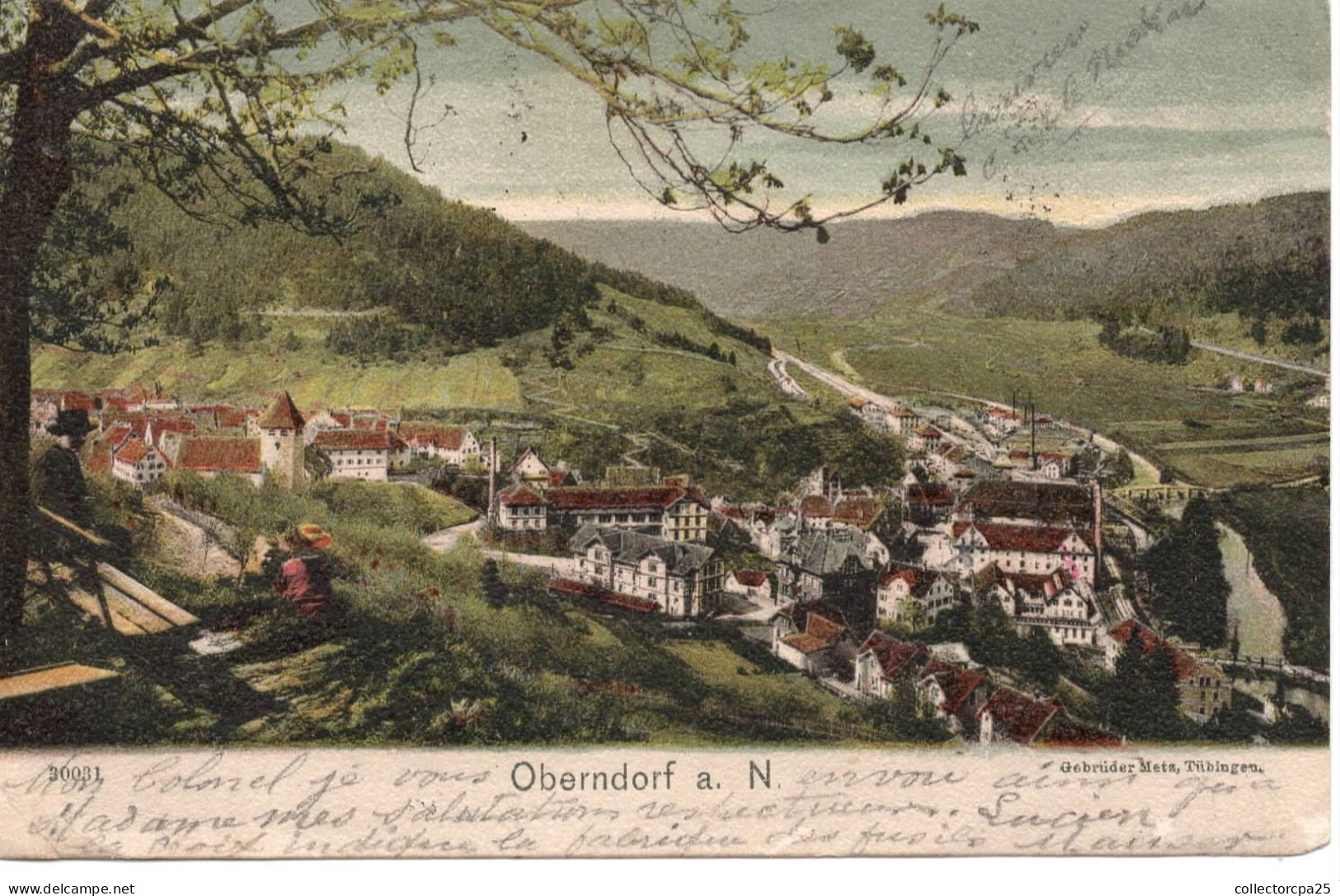 Oberndorf Am Neckar - Panorama - Alpirsbach