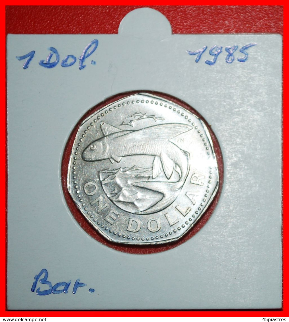 * GREAT BRITAIN FISH (1973-1986): BARBADOS  1 DOLLAR 1985! ELIZABETH II (1953-2022) IN HOLDER·  LOW START · NO RESERVE! - Barbades