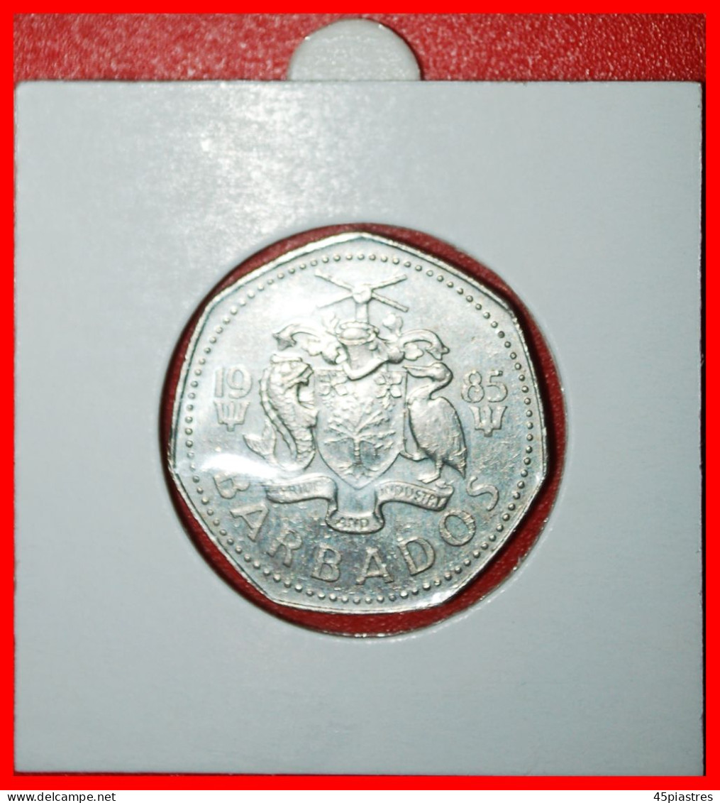 * GREAT BRITAIN FISH (1973-1986): BARBADOS  1 DOLLAR 1985! ELIZABETH II (1953-2022) IN HOLDER·  LOW START · NO RESERVE! - Barbados