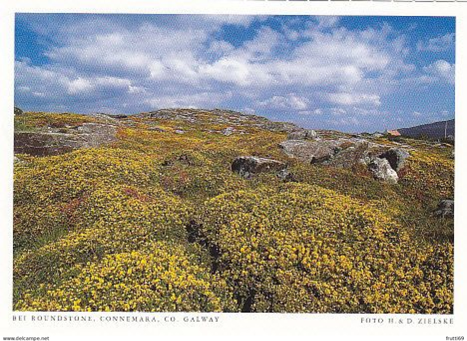 AK147957 IRELAND - Connemara - Bei Roundstone - Galway