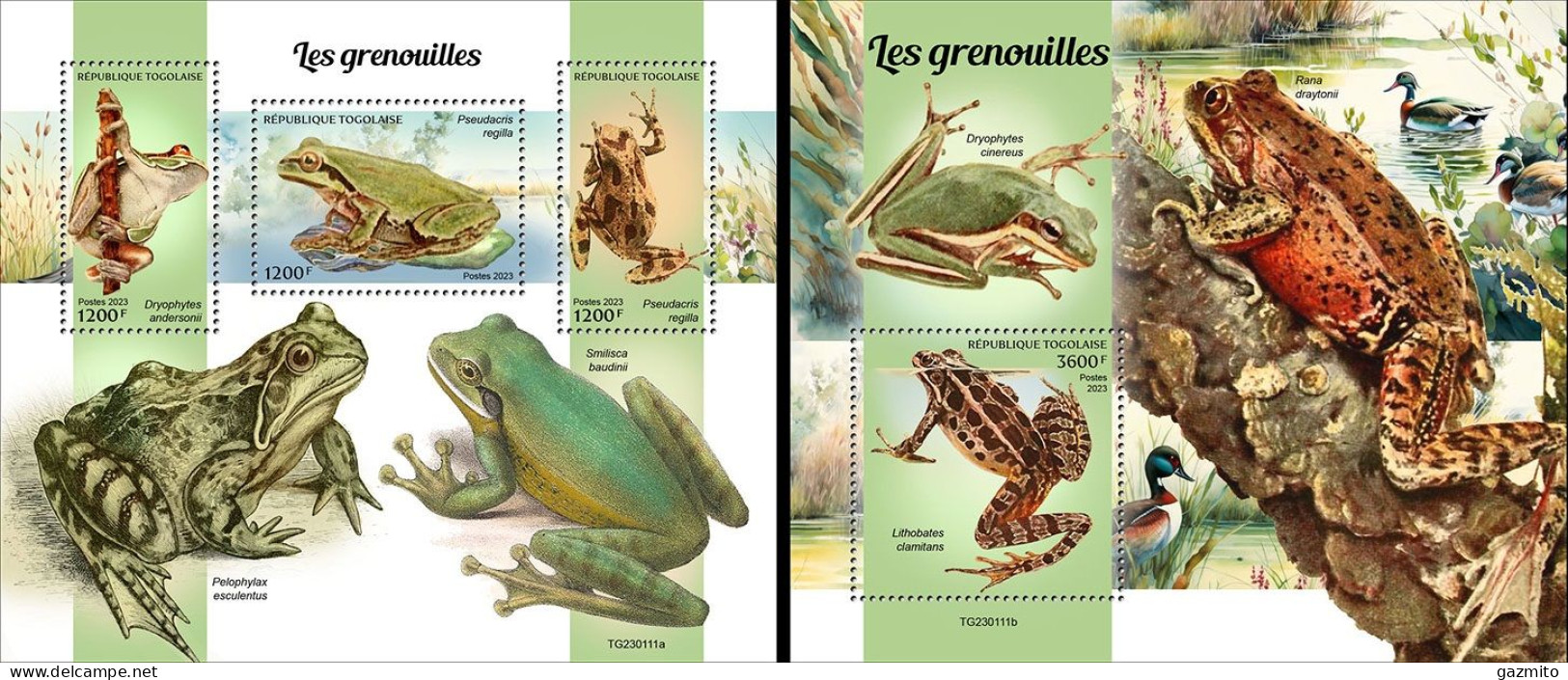 Togo 2023, Animals, Frogs, 3val In BF +BF - Togo (1960-...)