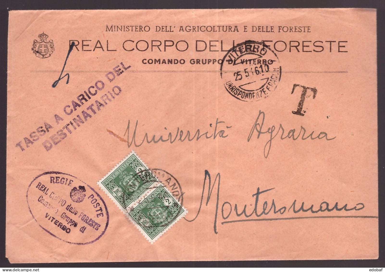 Italia Luogotenenza, Busta Del Maggio 1946 Con Coppia 2 Lire Segnatasse   -DN24 - Taxe