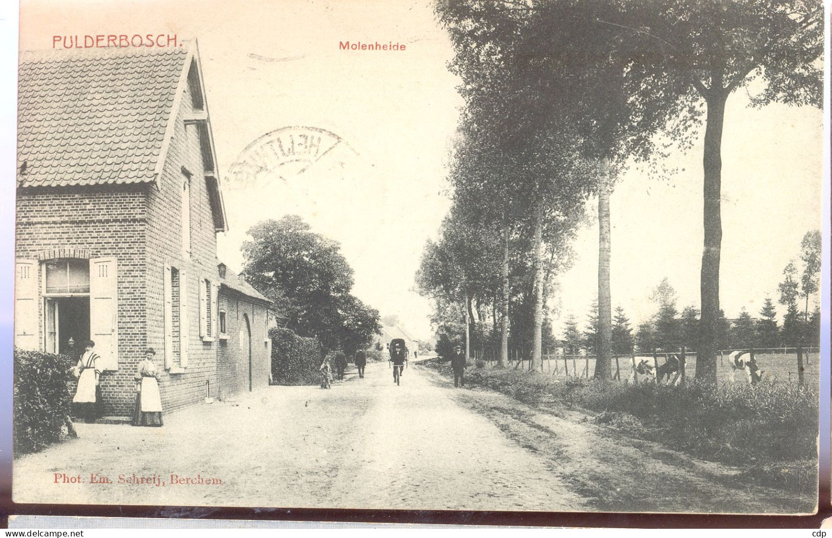 Cpa Pulderbosch   1911 - Zandhoven