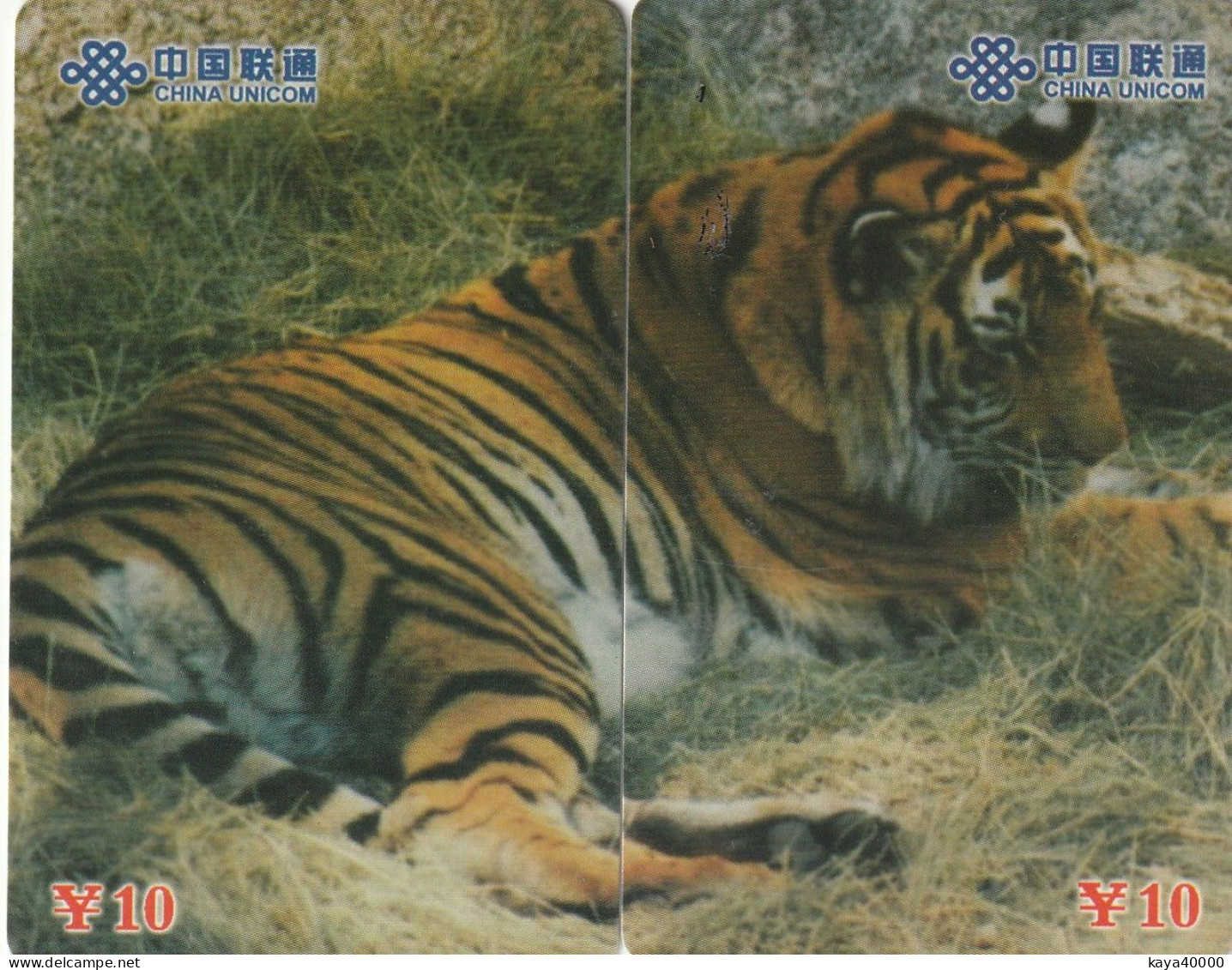 Carte Téléphone  ##  TIGRE Du BINGAL ##  (CHINE ) Gift Card, Carta Regalo, Cadeaukaart - FT