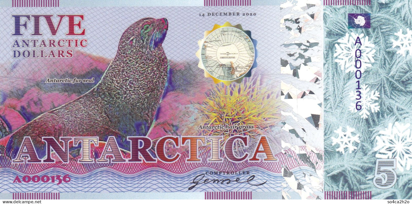 Antarctica 5 Dollars 14 Décembre 2020 Otarie UNC  POLYMER  Emission Privée - Specimen