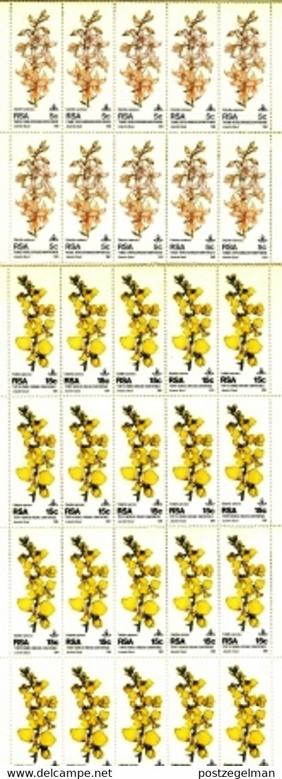 RSA, 1981, MNH, 25 Stamp(s) On Full Sheet(s) , Orchid Conference , Michel Nr(s).  590-593 Scannr. F2573 - Ongebruikt