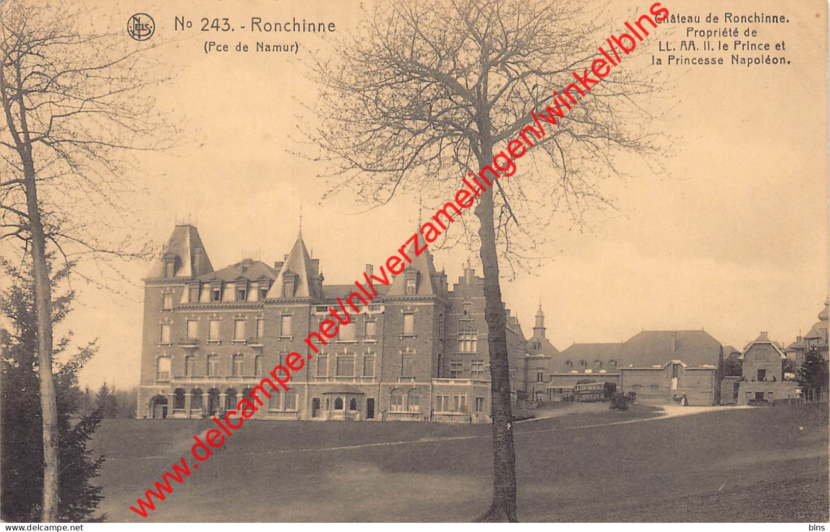 Château De Ronchinne Du Prince Et La Princesse Napoléon - Ronchinne - Maillen - Assesse