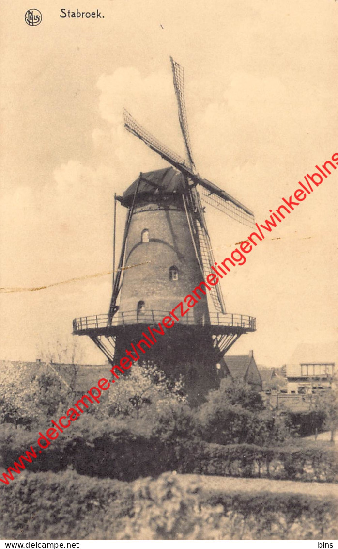 De Molen - Stabroek - Stabrök