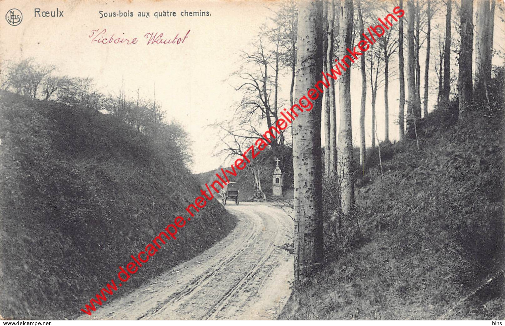 Sous-bois Aux Quatre Chemins - Le Roeulx - Le Roeulx