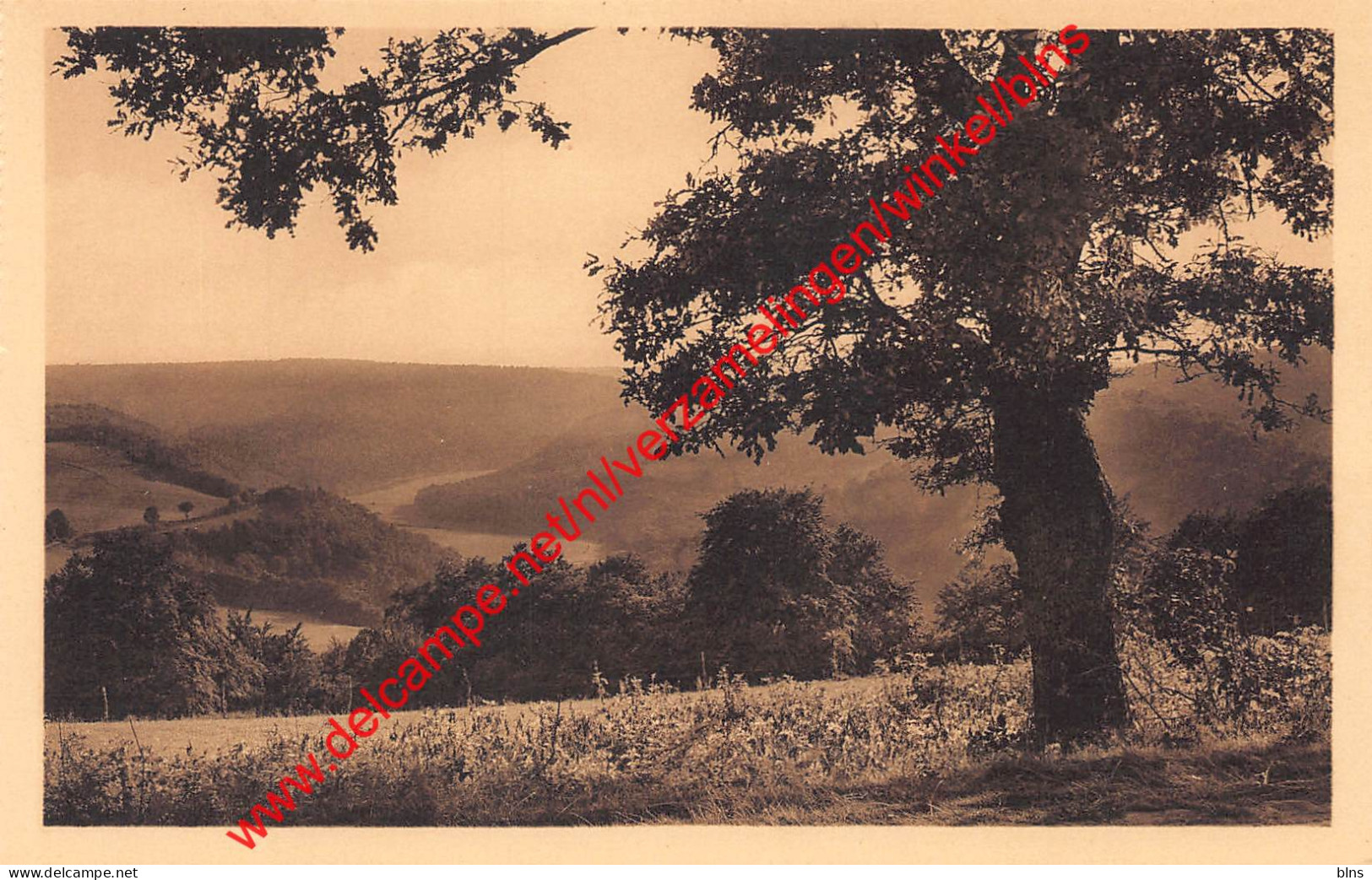 Vue Sur La Semois - Auby-sur-Semois - Bertrix
