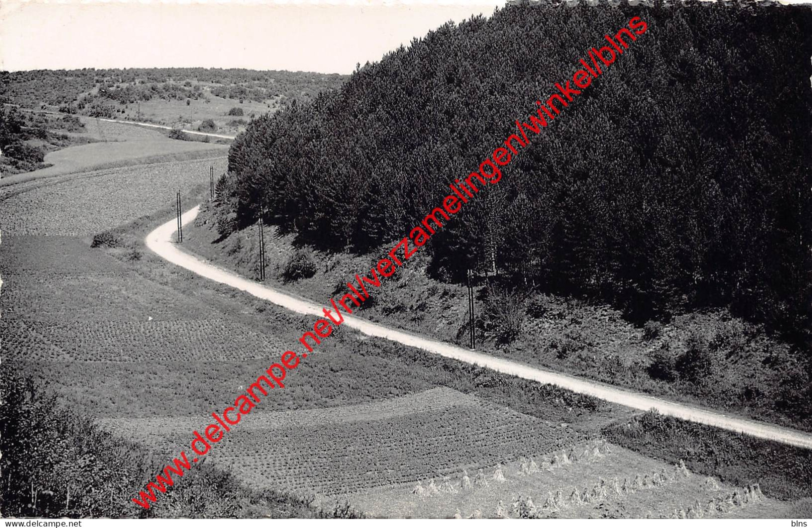 La Route De Matignolles - Treignes - Viroinval