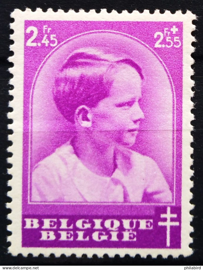 BELGIQUE                    N° 445                  NEUF** - Unused Stamps