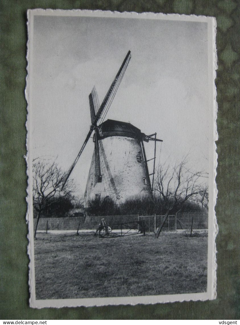 HEKELGEM - WINDMOLEN - Affligem