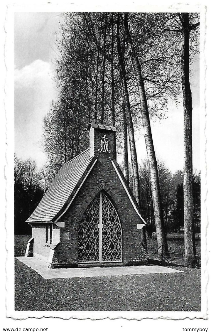 CPA Wijnegem, O.L.V. Kapel, Molendreef - Wijnegem