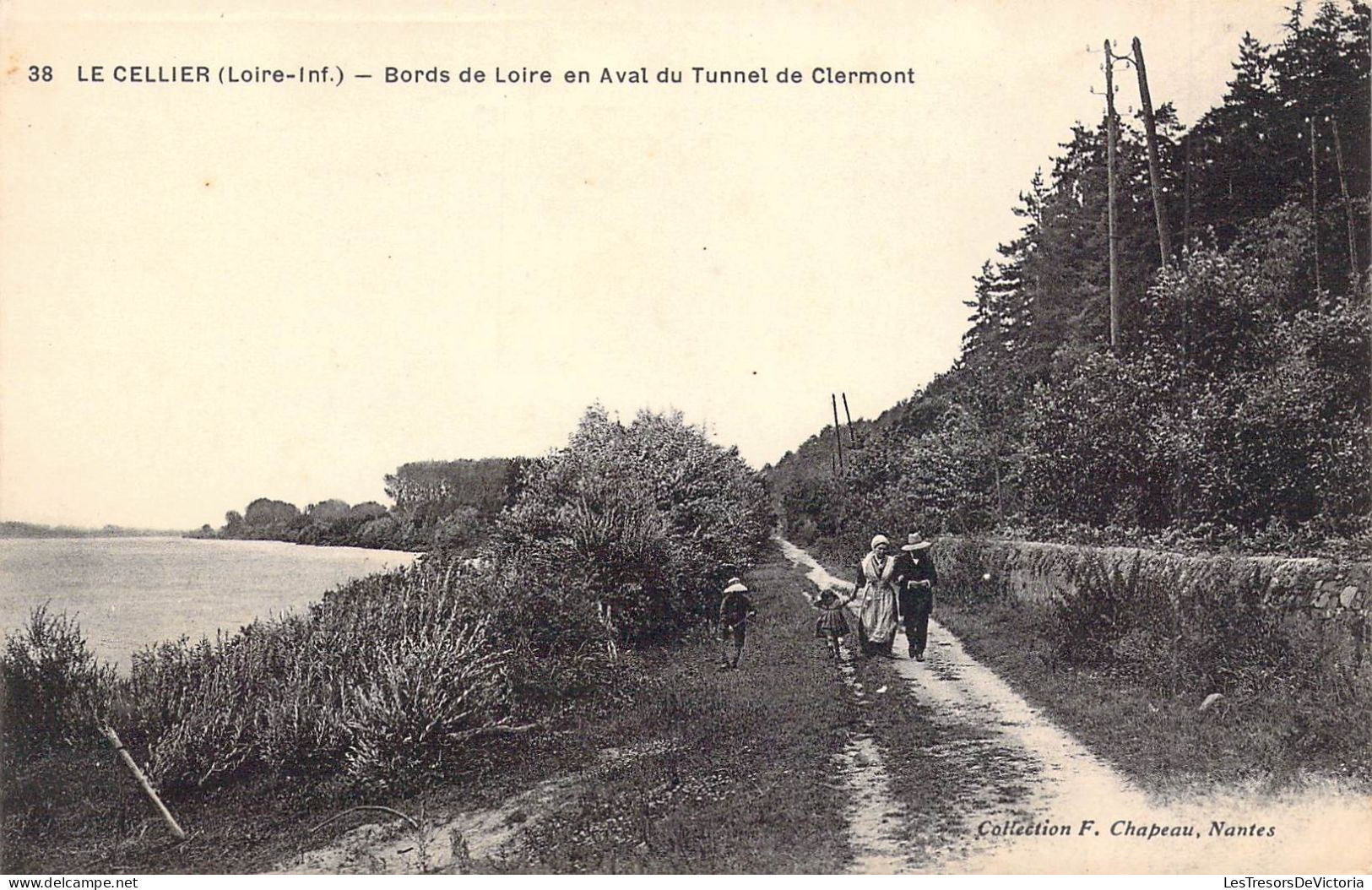 FRANCE - 44 - LE CELLIER - Bords De Loire En Aval Du Tunnel De Clermont - Carte Postale Ancienne - Le Cellier