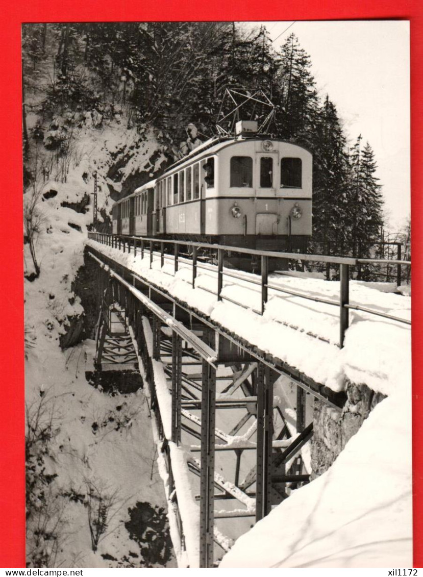 ZVY-20 Train Aigle Les Diablerets Viaduc Vanel Plambuit Photo Kettel 1941-42   BVA GF NC  Données Techniques Au Dos - Aigle