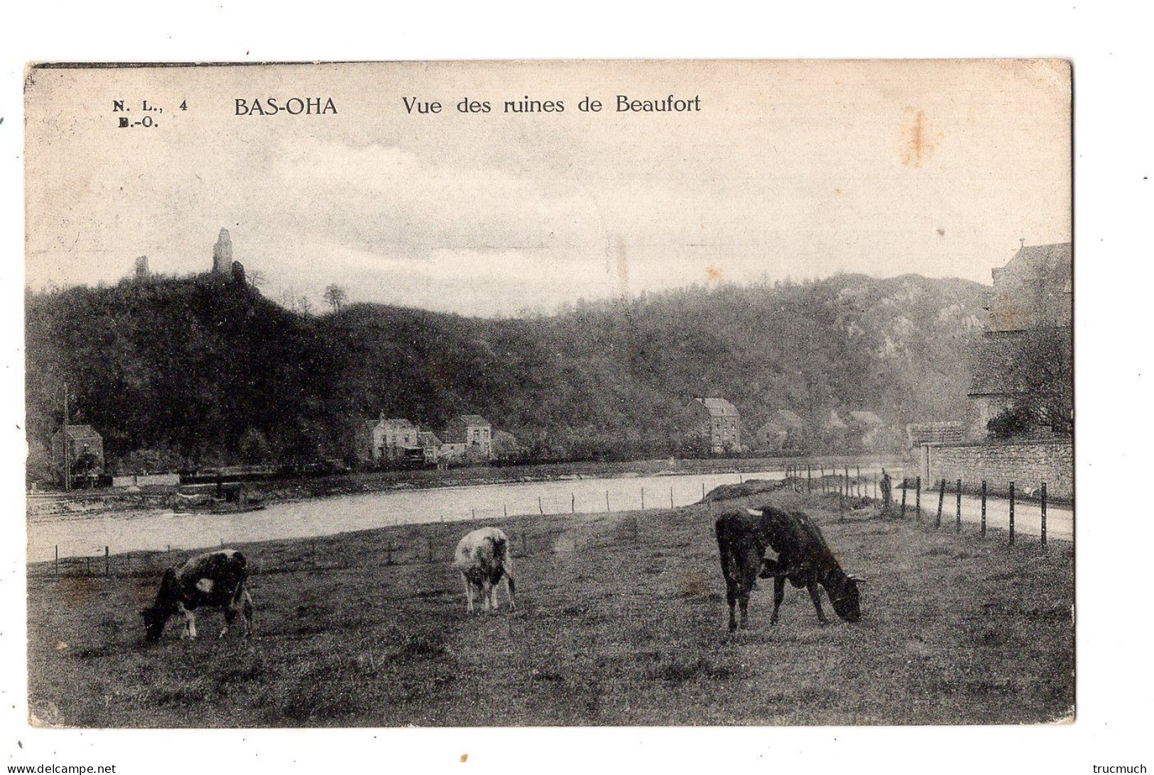 BAS - OHA  - Vue Des Ruines De Beaufort - Wanze