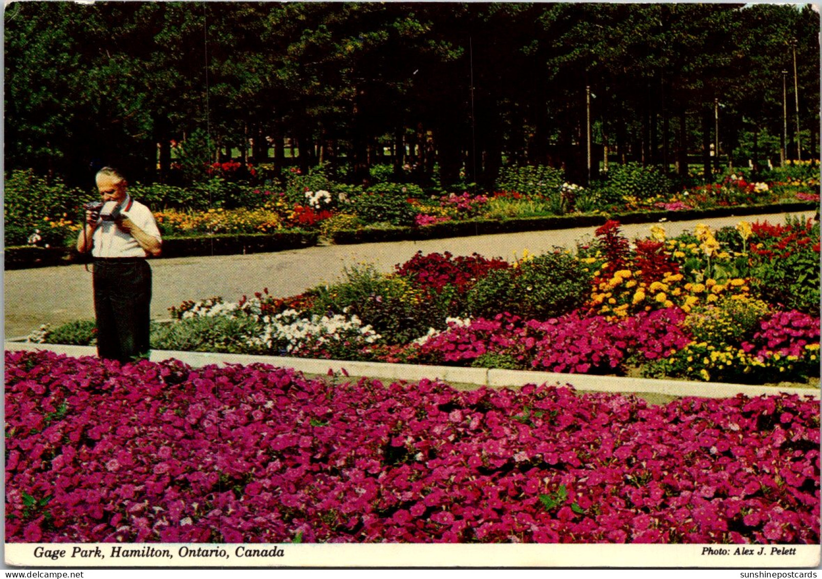 Canada Hamilton Gage Park 1975 - Hamilton