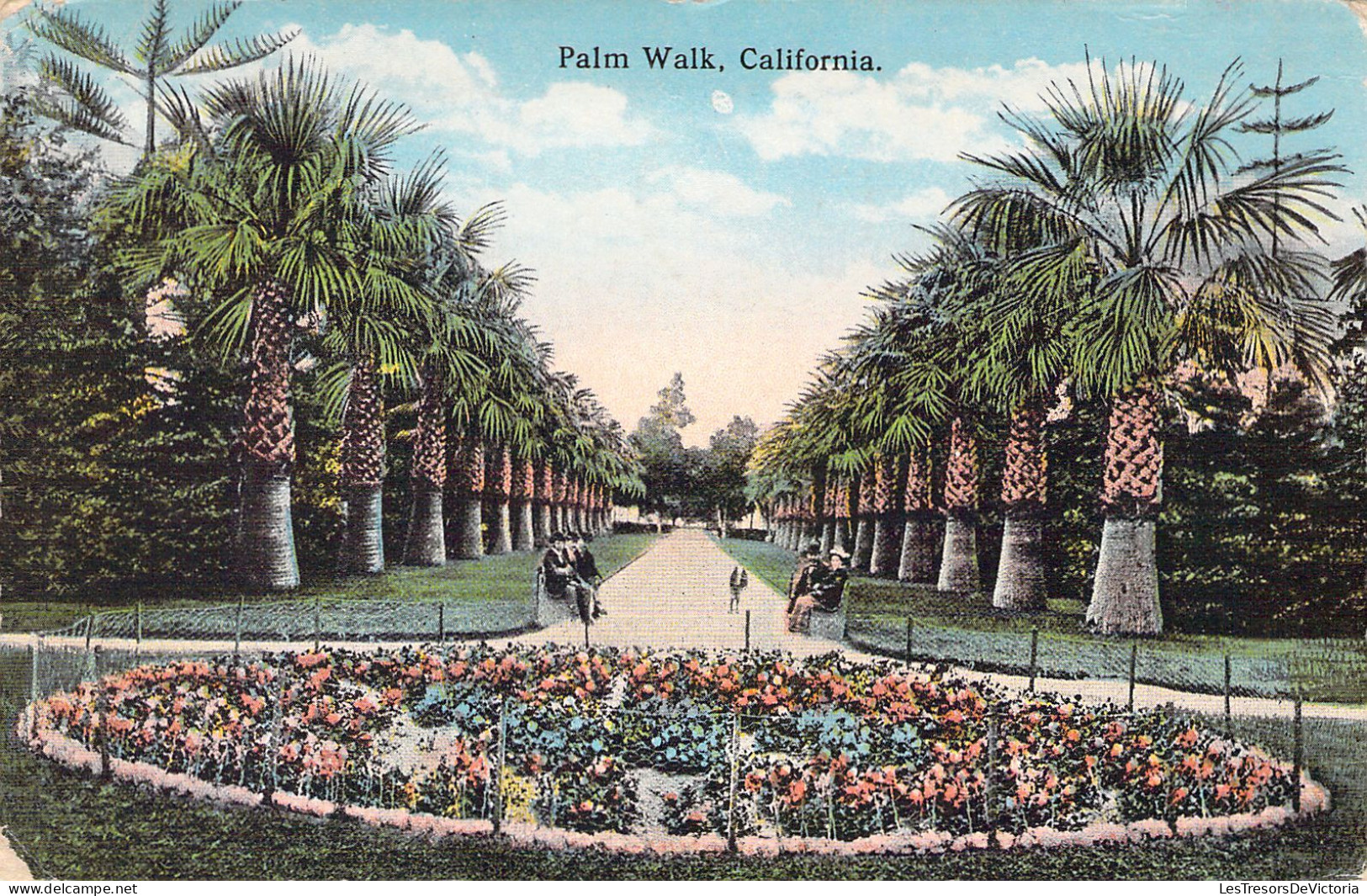 USA - Palm Walk - California - Carte Postale Ancienne - Other & Unclassified
