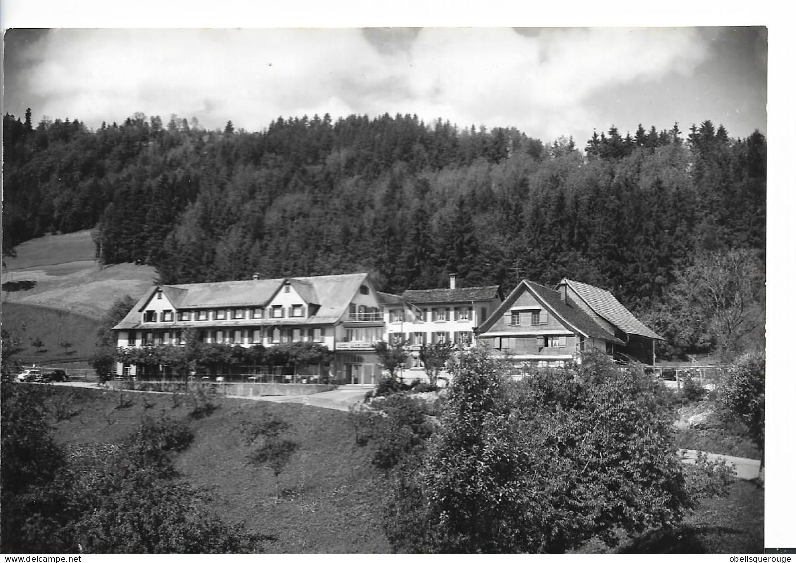 KURHAUS HASENSTRICK  AM BACHTEL FAM BUCHLI HINWIL N°6136 - Hinwil