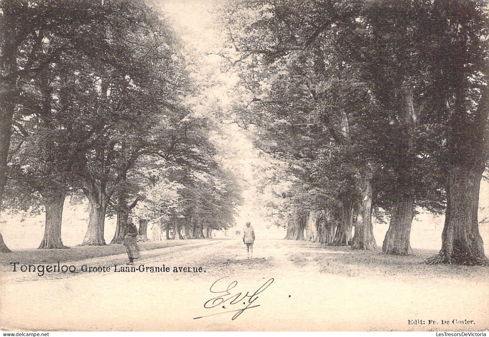 BELGIQUE - TONGERLOO - Groove Laan-Grande Avenue - Carte Postale Ancienne - Sonstige & Ohne Zuordnung