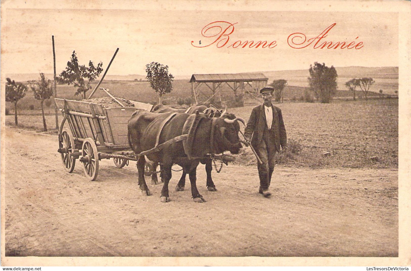 FOLKLORE - Bonne Année - Attelage De Boeuf - Carte Postale Ancienne - Sonstige & Ohne Zuordnung