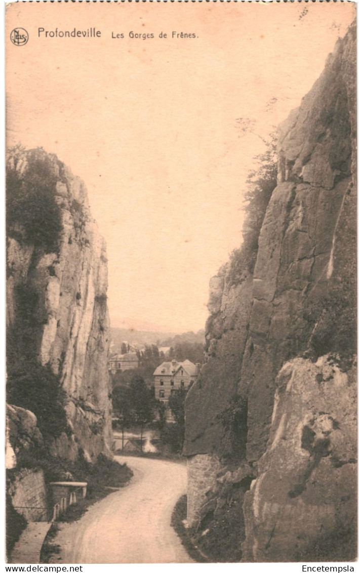 CPA  Carte Postale Belgique Profondeville Les Gorges De Frêne 1925 VM69647 - Profondeville