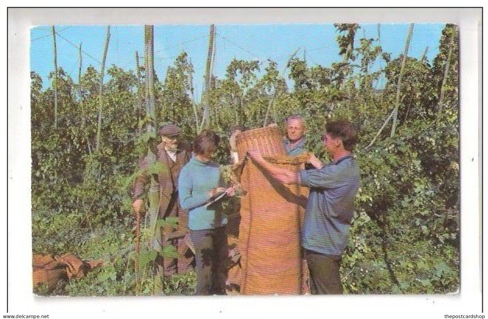 Genealogy Hop Picking Kent USED 1972 NEW ROMNEY TO MRS HAWKIN 5 WOODSIDE AVENUE ALPERTON WEMBLEY MIDDLESEX - Généalogie
