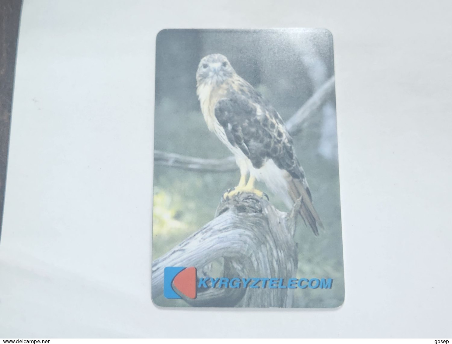 KYRGYZSTAN-(KG-KYR-0009B)-bird Of Prey2b-(58)-(100units)-(00177821)-(tirage-10.000)-used Card+1card Prepiad Free - Kirgizië