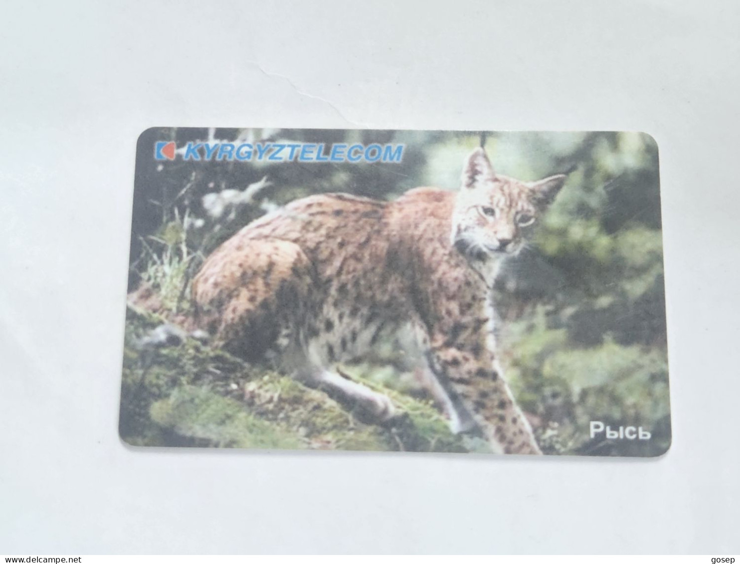 KYRGYZSTAN-(KG-KYR-0011A)-LYNX1-(2)-(50units)-(00295583)-(TIRAGE-20.000)-used Card+1card Prepiad Free - Kirgisistan