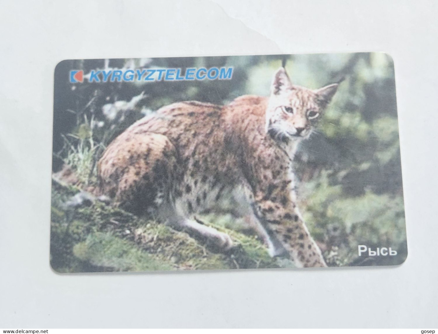 KYRGYZSTAN-(KG-KYR-0011A)-LYNX1-(58)-(50units)-(00304253)-(TIRAGE-20.000)-used Card+1card Prepiad Free - Kirgisistan