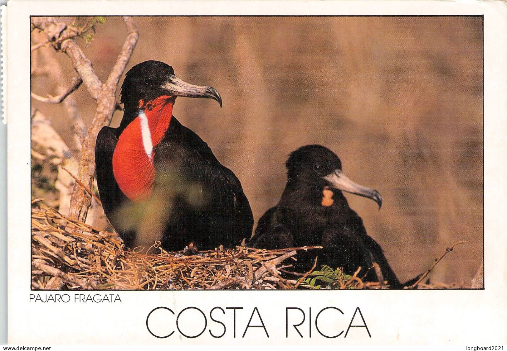 COSTA RICA - PICTURE POSTCARD Ca 1988 - /DE / *1071 - Costa Rica