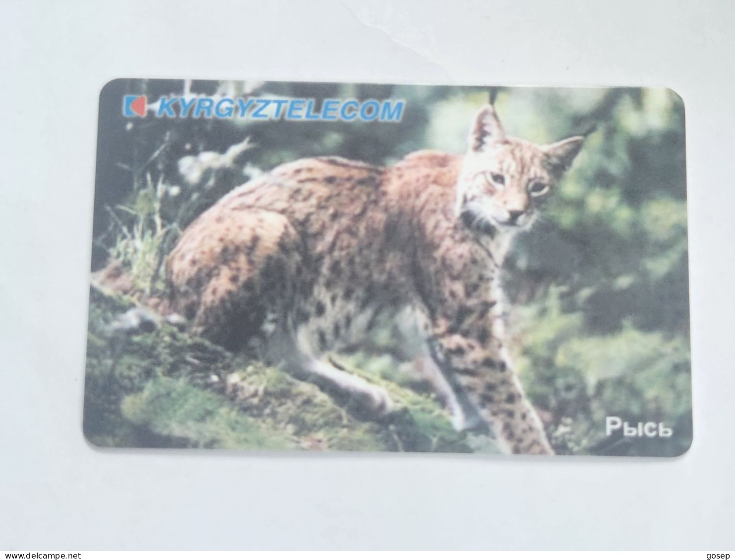 KYRGYZSTAN-(KG-KYR-0011C)-LYNX3-(58)-(50units)-(00246688)-(tirage-15.000)-used Card+1card Prepiad Free - Kirguistán