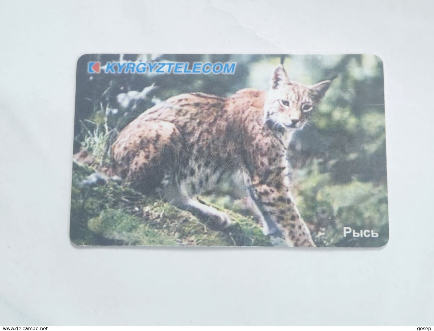 KYRGYZSTAN-(KG-KYR-0011b/a)-LYNX2-(58)-(50units)-(00265907)-(TIRAGE-20.000)-used Card+1card Prepiad Free - Kirguistán