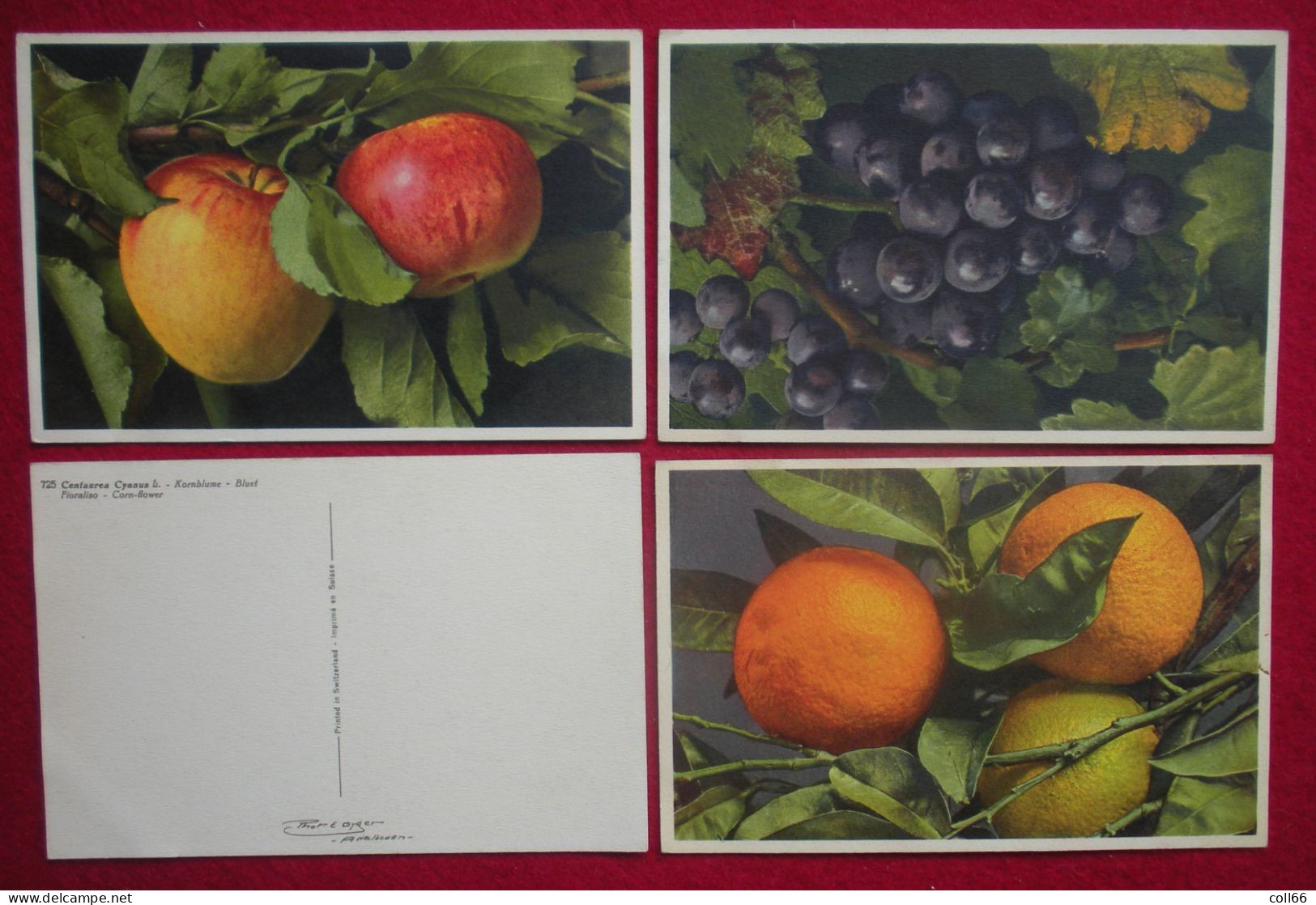 Lot 120 cartes postales Fleurs et + 8 fruits Switzerland éditeur Phot E. Gyger Abelboden Franco Port France métro TBe