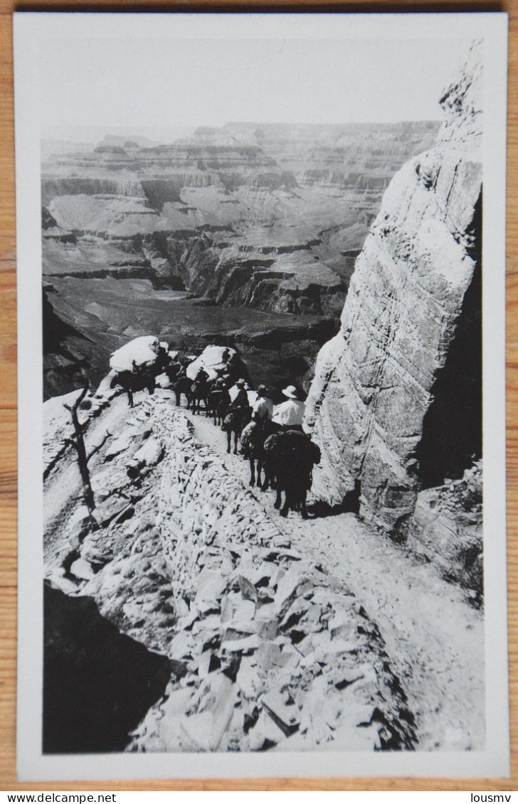 Grand Canyon Du Colorado - South Rim - Carte Photo - Chemin Et Descente (annotation Au Dos) - Animée - Chevaux (n°26896) - Grand Canyon