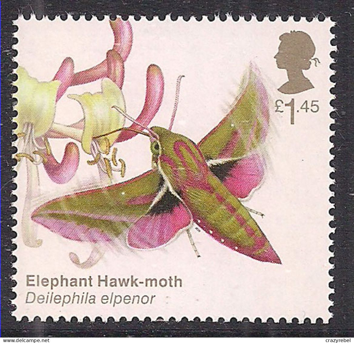 GB 2020 QE2 £1.45 Brilliant Bugs Elephant Hawk Moth SG 4431 Umm ( M169 ) - Unused Stamps