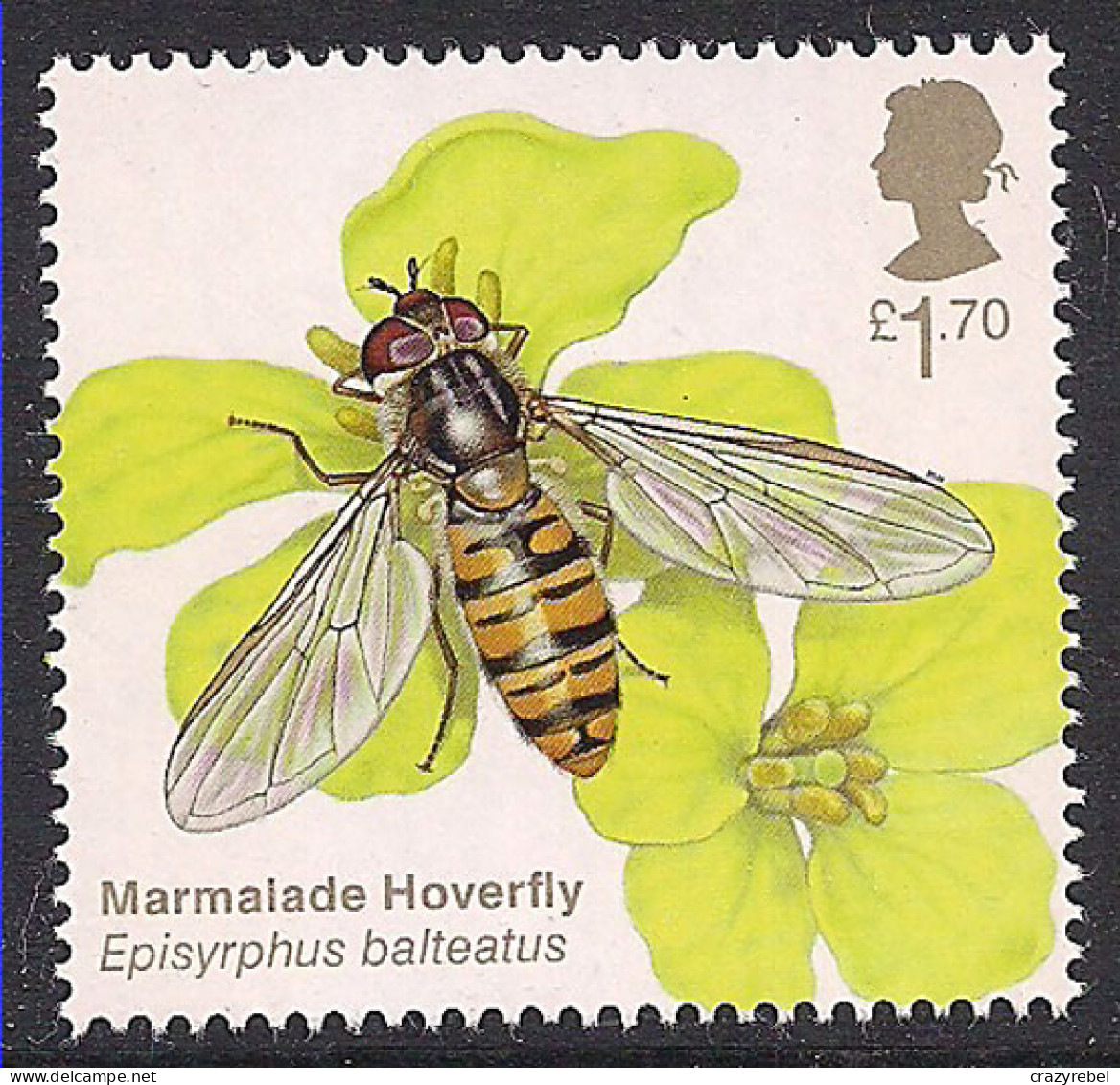 GB 2020 QE2 £1.70 Brilliant Bugs Marmalade Hoverfly SG 4432 Umm ( L1298 ) - Unused Stamps